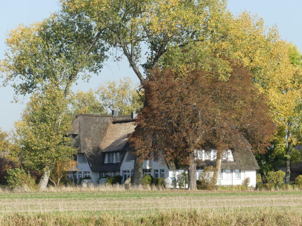 Landhaus Am Haff Stolpe auf Usedom Экстерьер фото